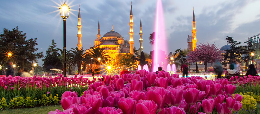 2017 İstanbul Lale Festivali başladı en güzel laleler nerede?