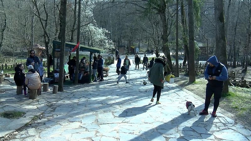 Belgrad Ormanı görüntüleri sonrası Piknik ve mangala yasak! Bakanlık yasakladı...