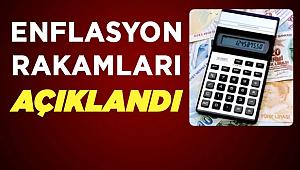 Haziran Ayı Enflasyon (TÜFE-TEFE) Oranları Açıklandı