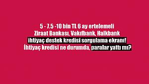 5 - 7.5 -10 bin TL 6 ay ertelemeli Ziraat Bankası, Vakıfbank, Halkbank ihtiyaç destek kredisi sorgulama ekranı! İhtiyaç kredisi ne durumda, paralar yattı mı?