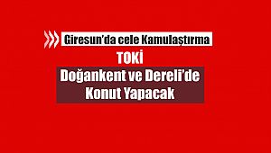 Giresun'da afet sonrası o yerlerde konut yapımı  için kamulaştırma kararı çıktı