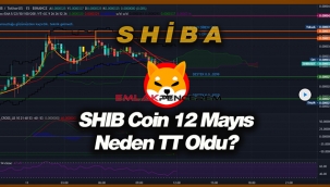 SHİBA INU neden TT oldu? Shiba coin sert yükselmeden yataya geçti...