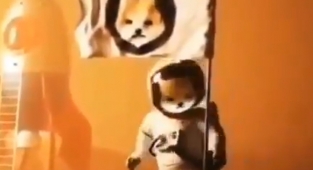 Shiba Inu fiyatı %38 artışını sürdürmek için konsolide oluyor! 6 Temmuz SHIB USDT analiz yorum