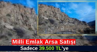 Milli Emlak 39.500 TL'ye arsa satıyor! Ankara'da o ilçede doğa manzaralı arsa ihalesi...