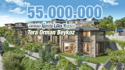 İstanbul'da Doğayla Bütünleşen Yeni Yaşam! Tera Orman Beykoz 55 Milyon TL'lik Lüks Villalar