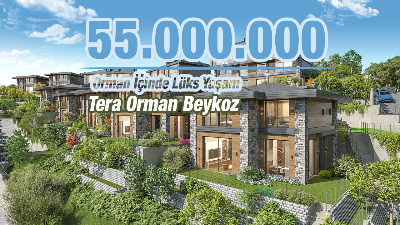 İstanbul'da Doğayla Bütünleşen Yeni Yaşam! Tera Orman Beykoz 55 Milyon TL'lik Lüks Villalar
